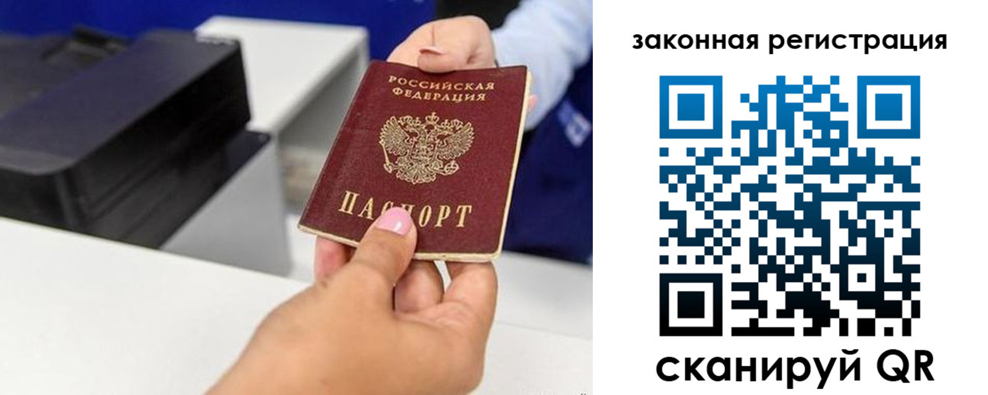 прописка для школы в Куртамыше